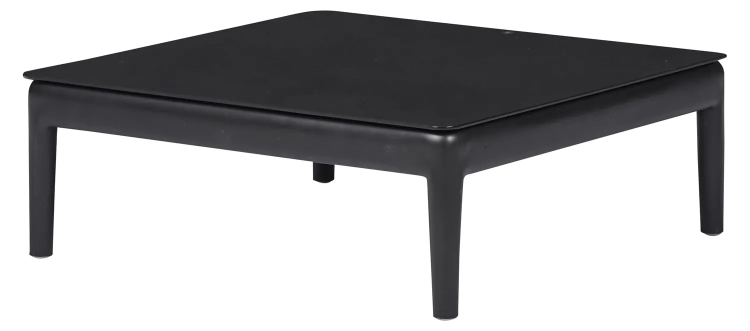 Envy Lounge-Set 5 Personen Bambus-Look Sofa Stühle Tisch Kissen