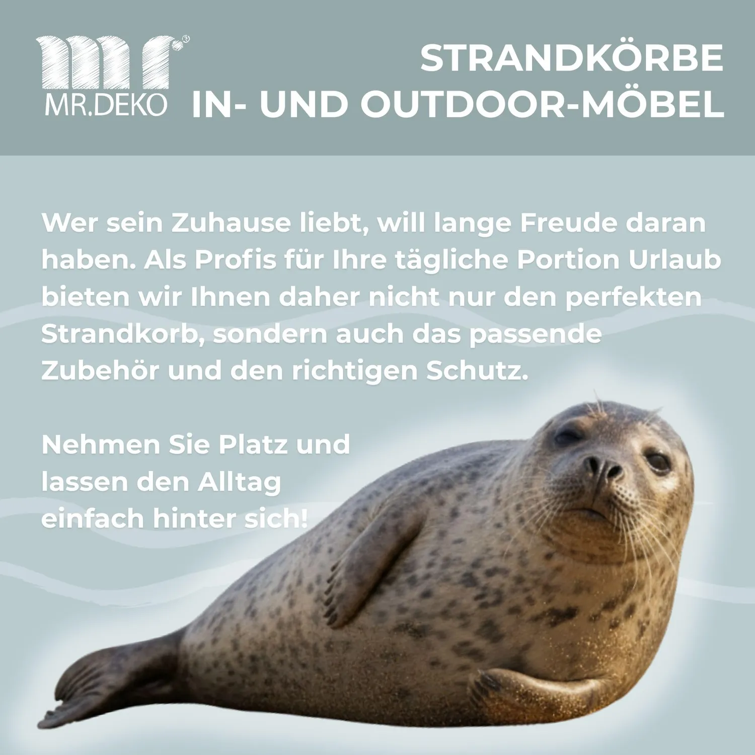 MR.DEKO Strandkorb Abdeckhaube Größe L 125 x 80 x 160 cm PVC transparent